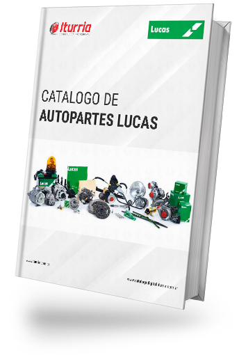 cat lucas book